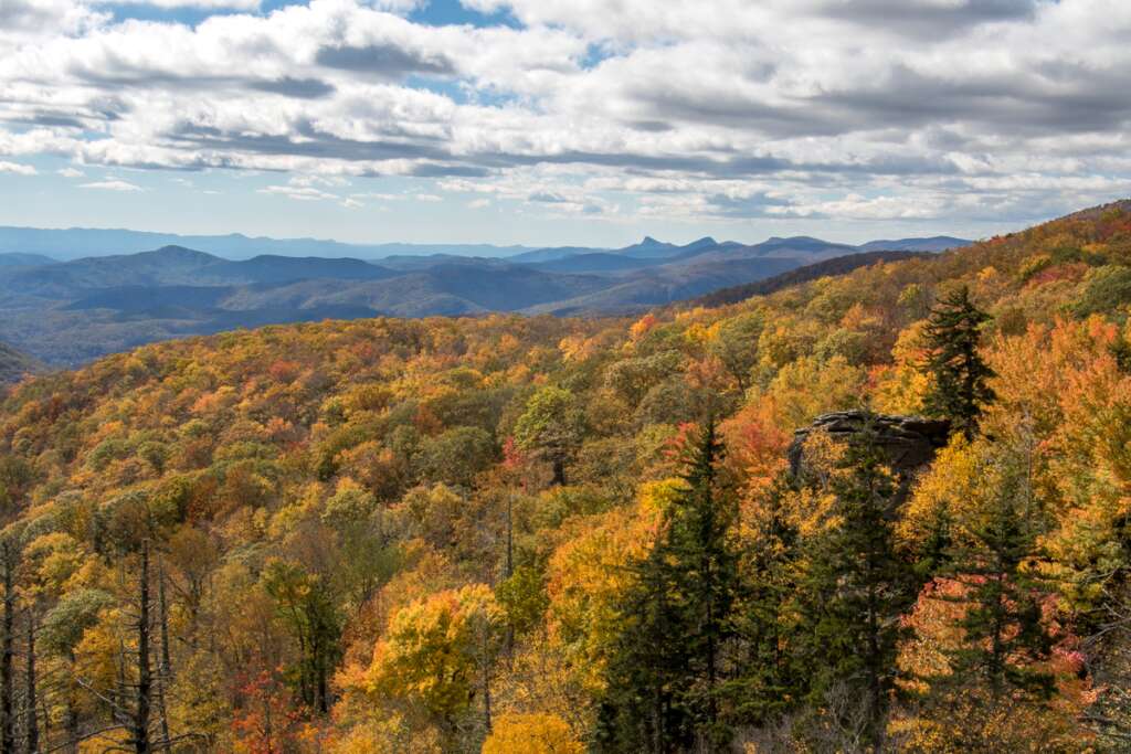  Autumn in the Carolinas!